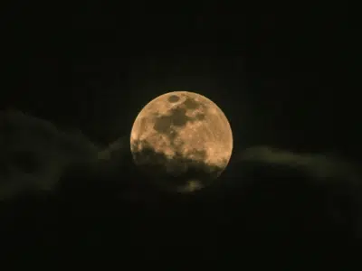 Polna luna
