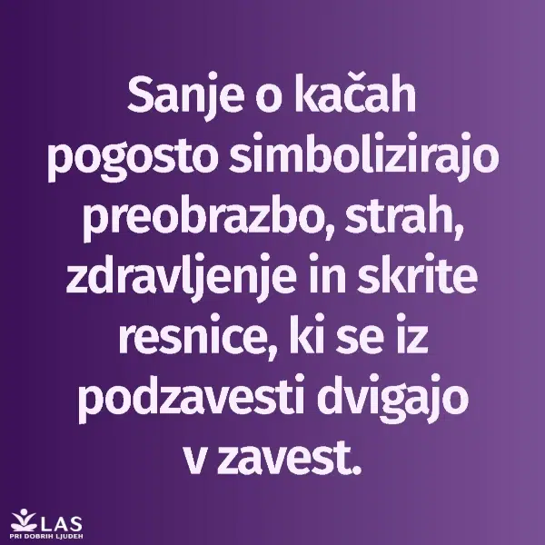 Kaj pomenijo sanje o kačah in kačjih ugrizih