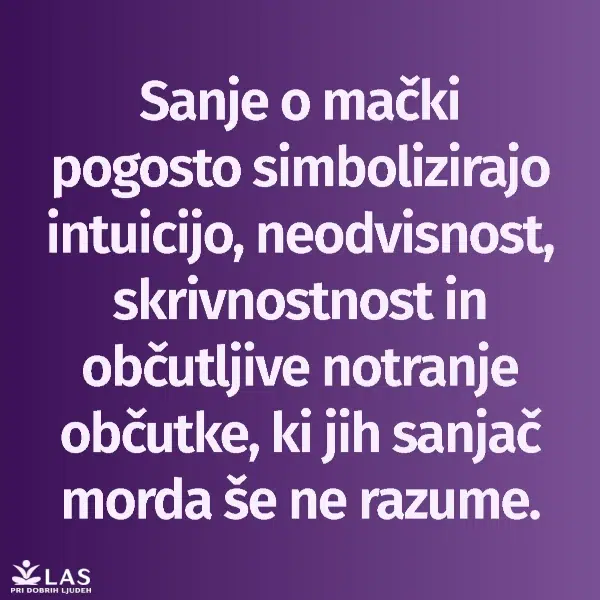 Kaj pomenijo sanje o mački?