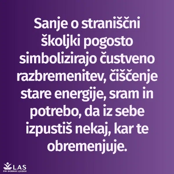 Kaj pomenijo sanje o straniščni školjki