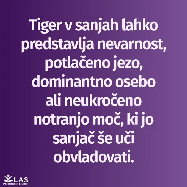 Kaj pomenijo sanje o tigru